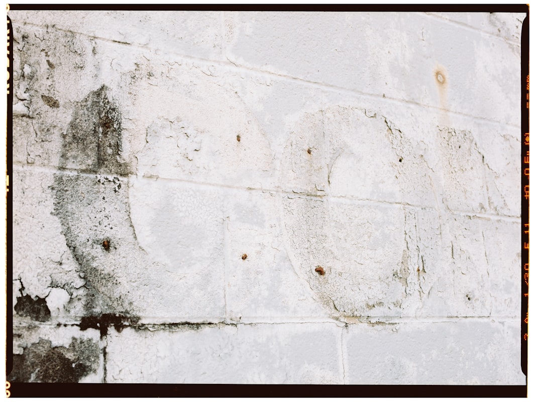 Flood Cleanup service in Redmond, WA